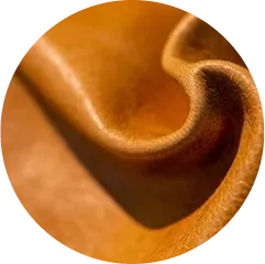 جلد